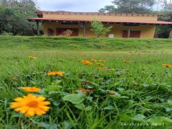 Venda em Centro - Monteiro Lobato