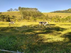 #ST00007 - Sítio para Venda em Monteiro Lobato - SP - 2