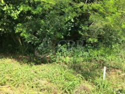 #TE00287 - Terreno para Venda em Paraibuna - SP - 2