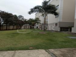 #AP03114 - Apartamento para Venda em Taubaté - SP - 1