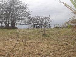 #TE00806 - Terreno para Venda em São José dos Campos - SP - 1